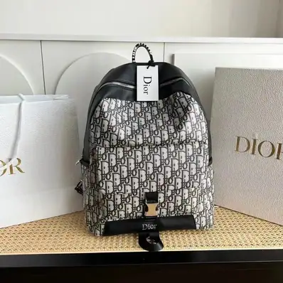 Louis Vuitton Dior Backpack — bag, real photo