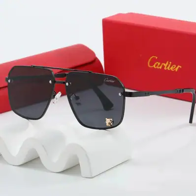 Cartier Casual Sunglasses — sunglasses, real photo